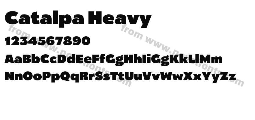 Catalpa HeavyPreview