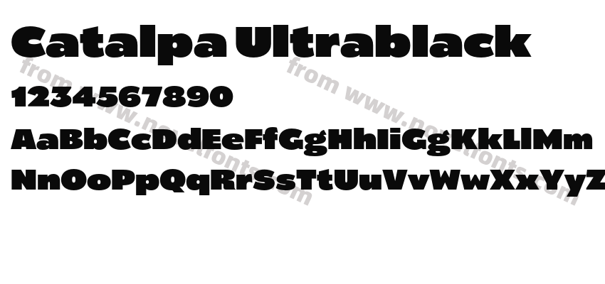 Catalpa UltrablackPreview