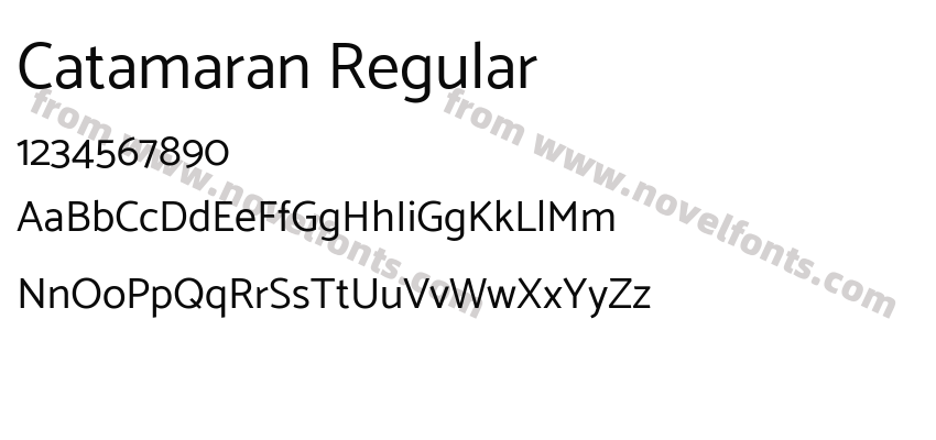 Catamaran RegularPreview