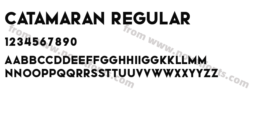 Catamaran RegularPreview