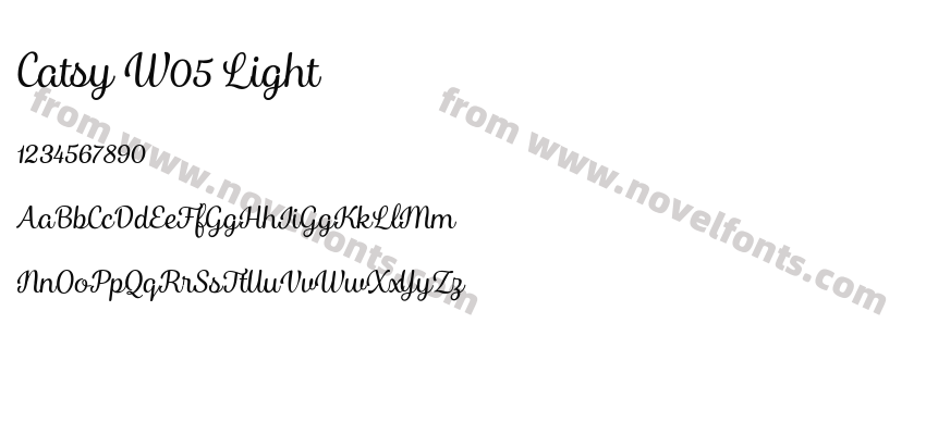 Catsy W05 LightPreview