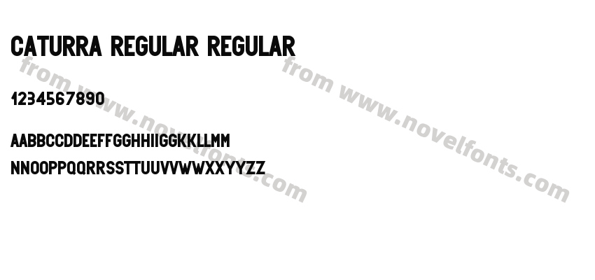 Caturra Regular RegularPreview