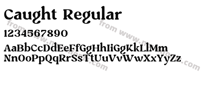 Caught RegularPreview
