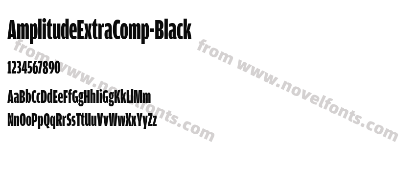 AmplitudeExtraComp-BlackPreview