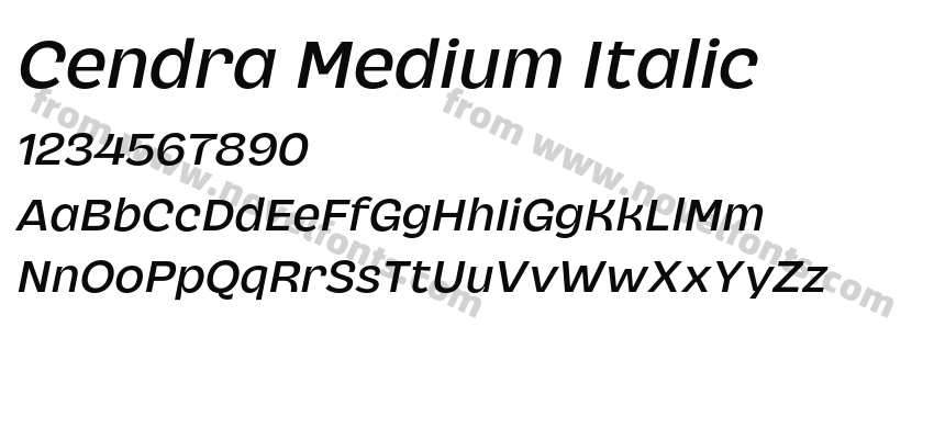 Cendra Medium ItalicPreview