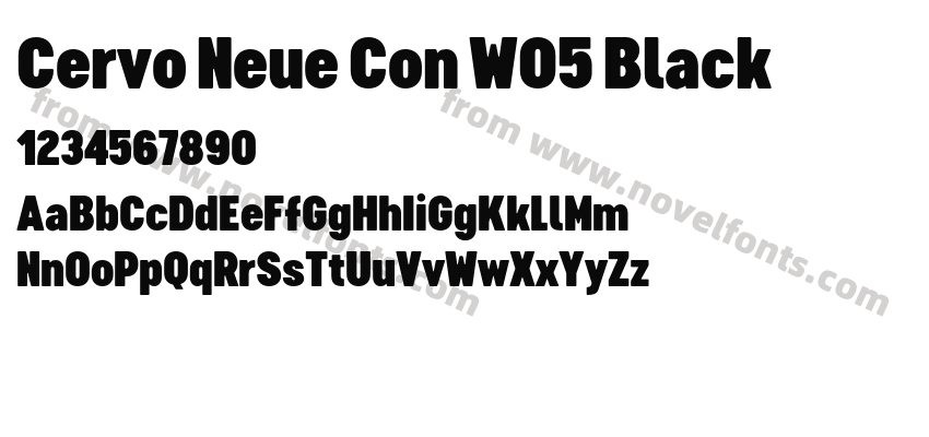 Cervo Neue Con W05 BlackPreview
