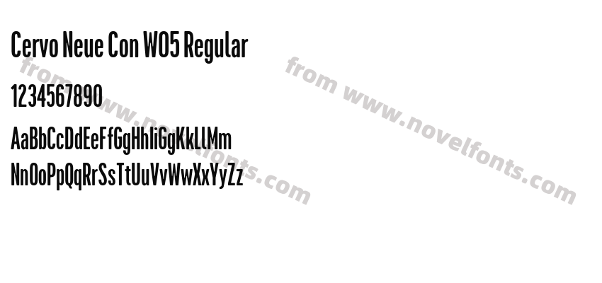 Cervo Neue Con W05 RegularPreview