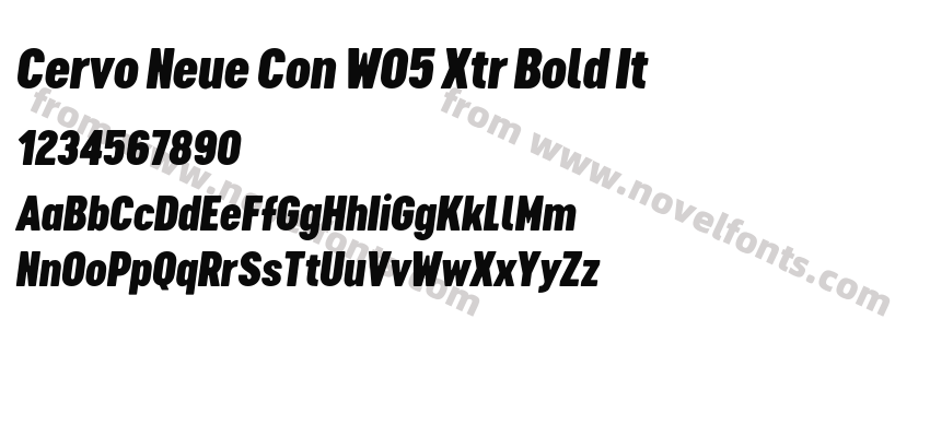 Cervo Neue Con W05 Xtr Bold ItPreview