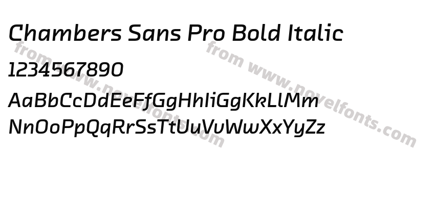 Chambers Sans Pro Bold ItalicPreview