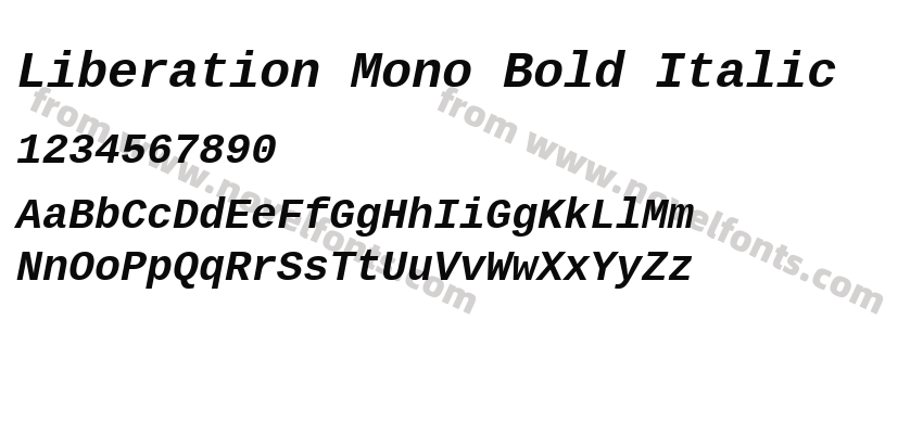 Liberation Mono Bold ItalicPreview