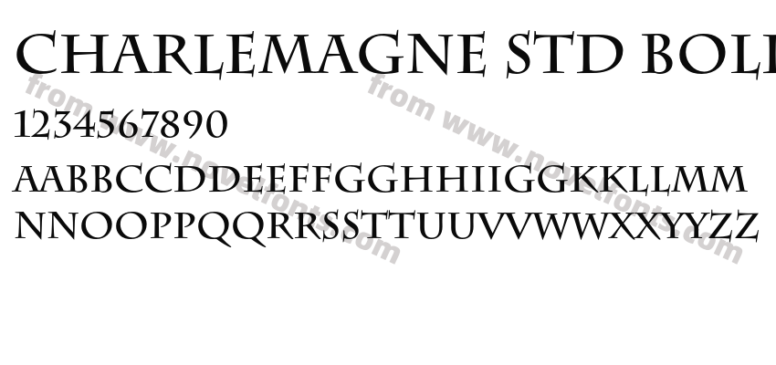 Charlemagne Std BoldPreview