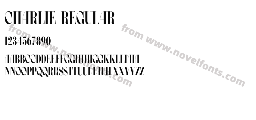 Charlie RegularPreview
