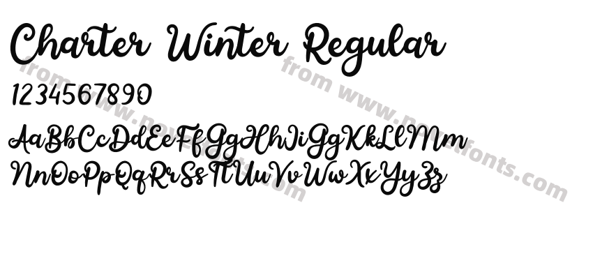 Charter Winter RegularPreview