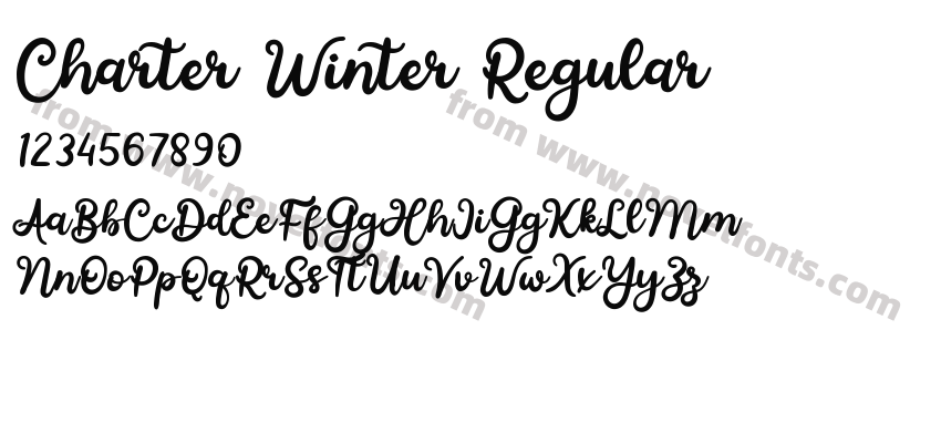 Charter Winter RegularPreview