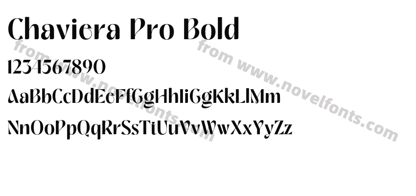 Chaviera Pro BoldPreview