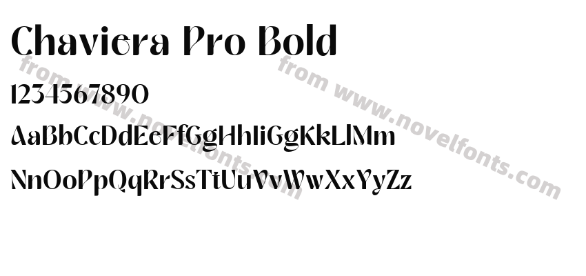 Chaviera Pro BoldPreview