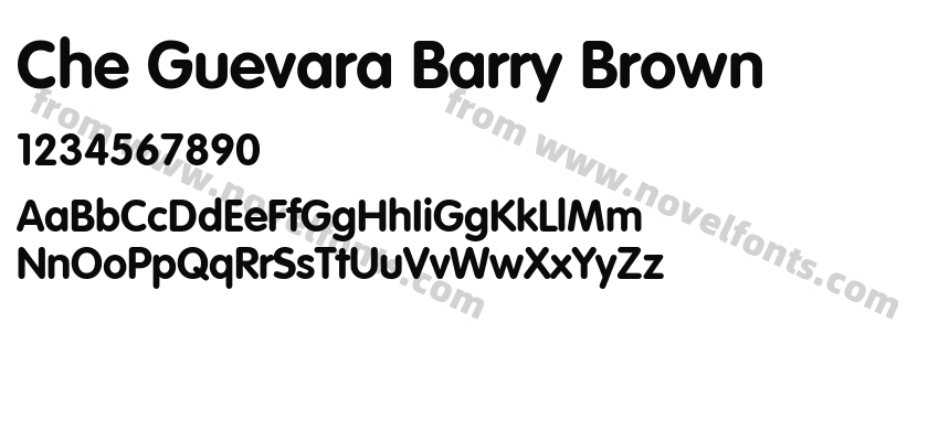 Che Guevara Barry BrownPreview