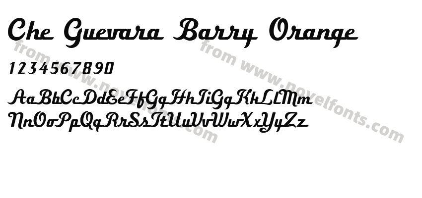 Che Guevara Barry OrangePreview