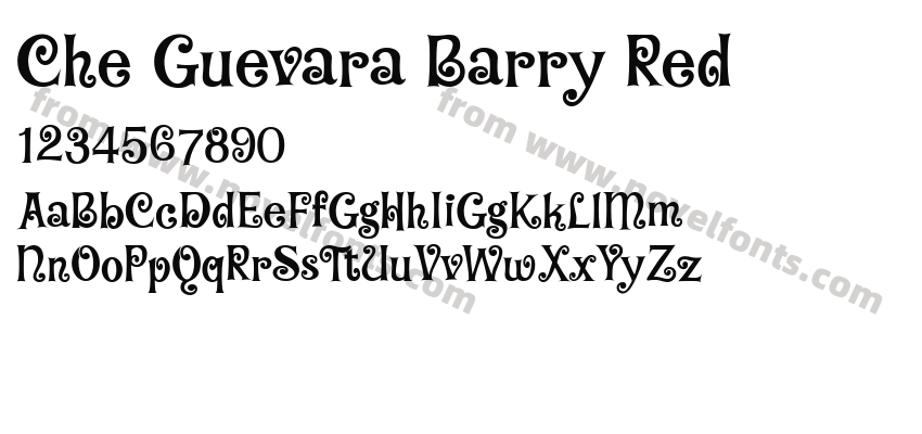 Che Guevara Barry RedPreview