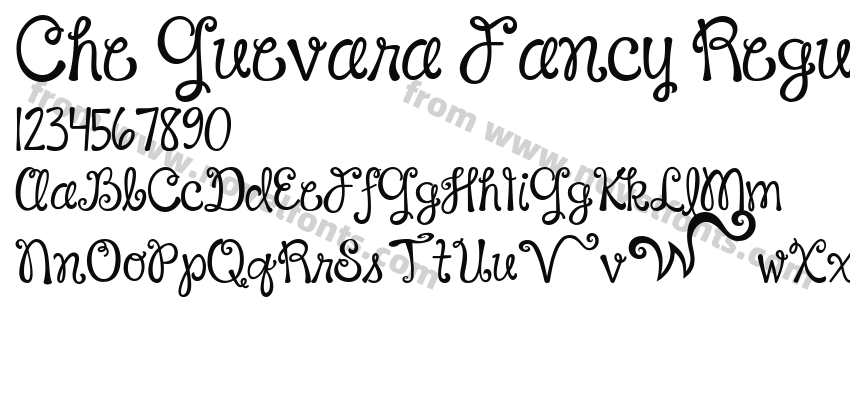 Che Guevara Fancy RegularPreview