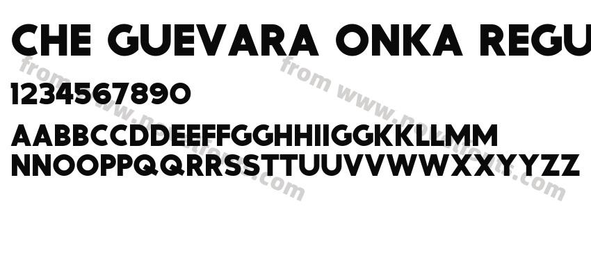 Che Guevara ONKA RegularPreview