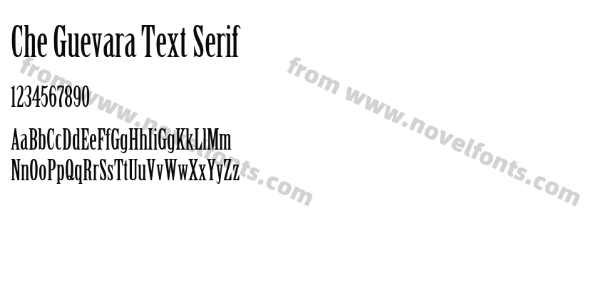 Che Guevara Text SerifPreview