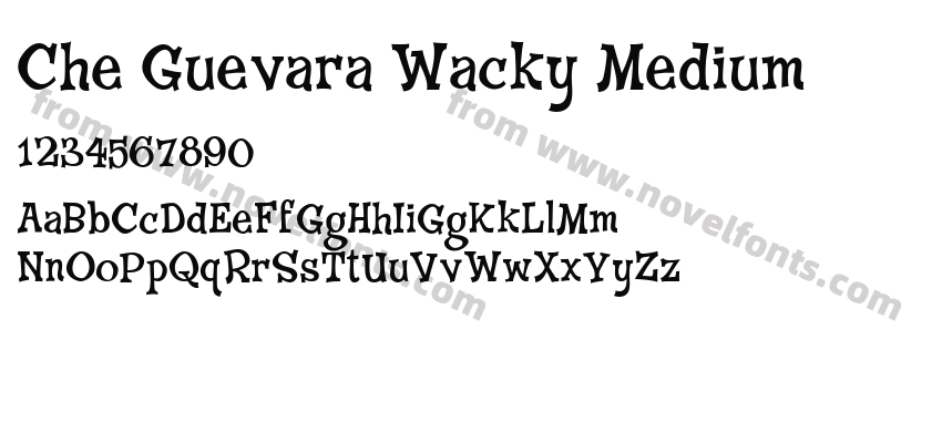 Che Guevara Wacky MediumPreview