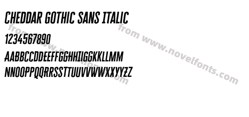 Cheddar Gothic Sans ItalicPreview