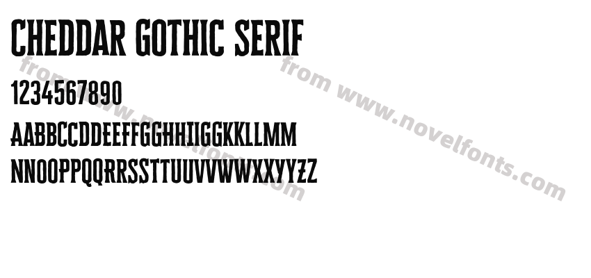 Cheddar Gothic SerifPreview