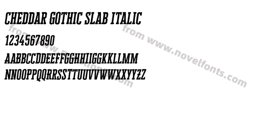 Cheddar Gothic Slab ItalicPreview