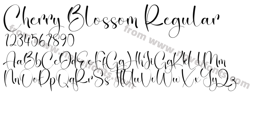 Cherry Blossom RegularPreview