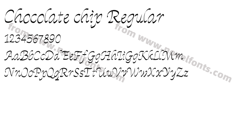 Chocolate chip RegularPreview