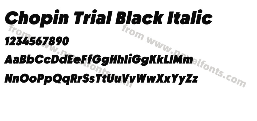 Chopin Trial Black ItalicPreview