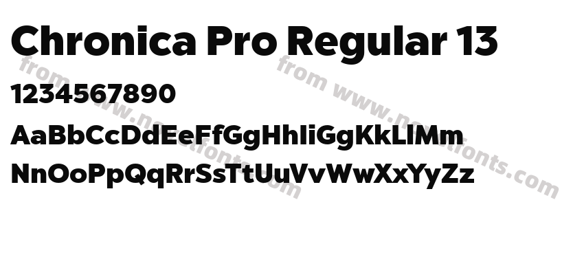 Chronica Pro Regular 13Preview