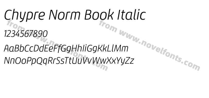 Chypre Norm Book ItalicPreview
