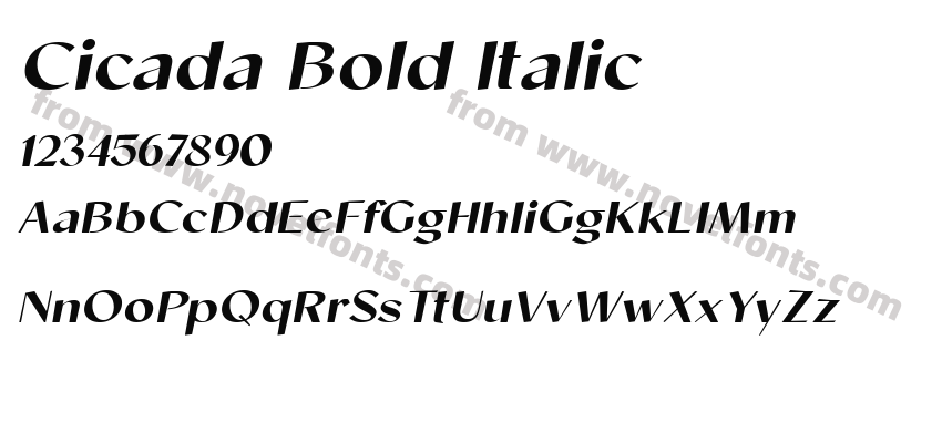 Cicada Bold ItalicPreview