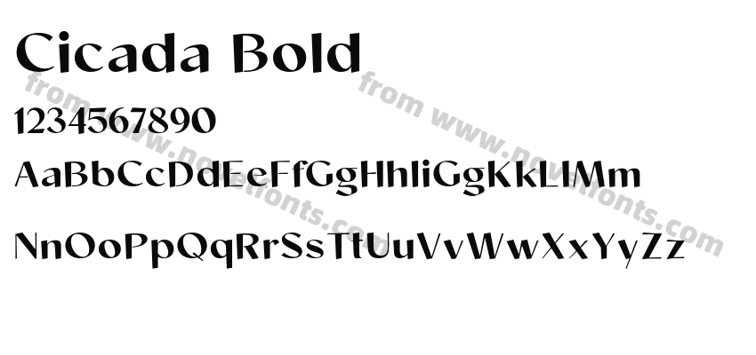Cicada BoldPreview