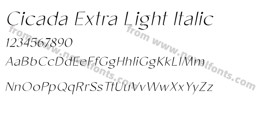 Cicada Extra Light ItalicPreview