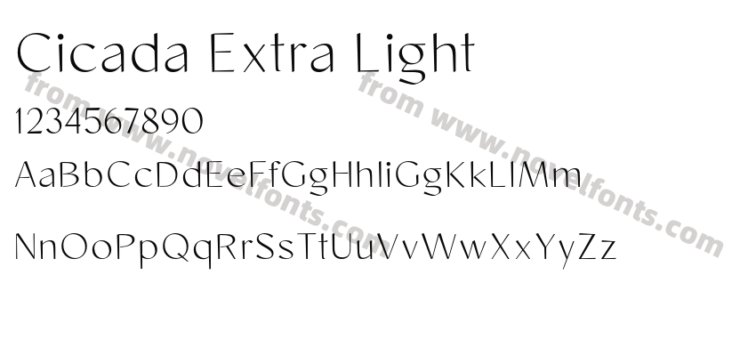 Cicada Extra LightPreview