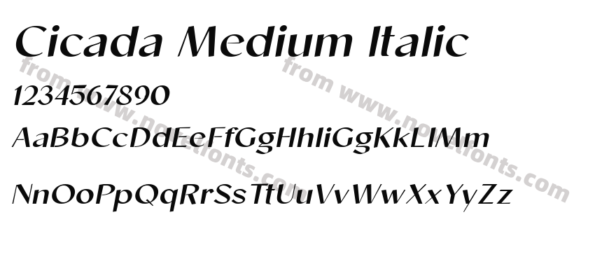 Cicada Medium ItalicPreview