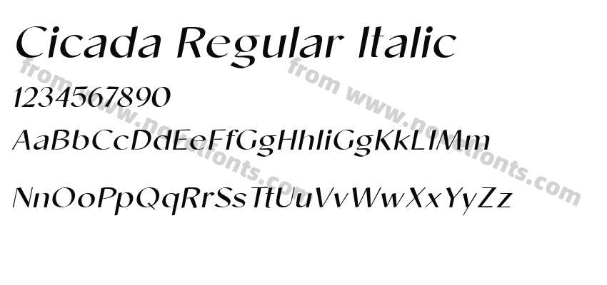 Cicada Regular ItalicPreview