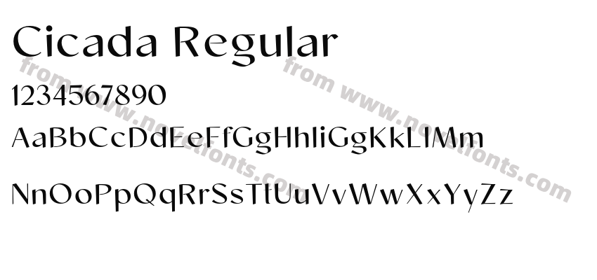 Cicada RegularPreview