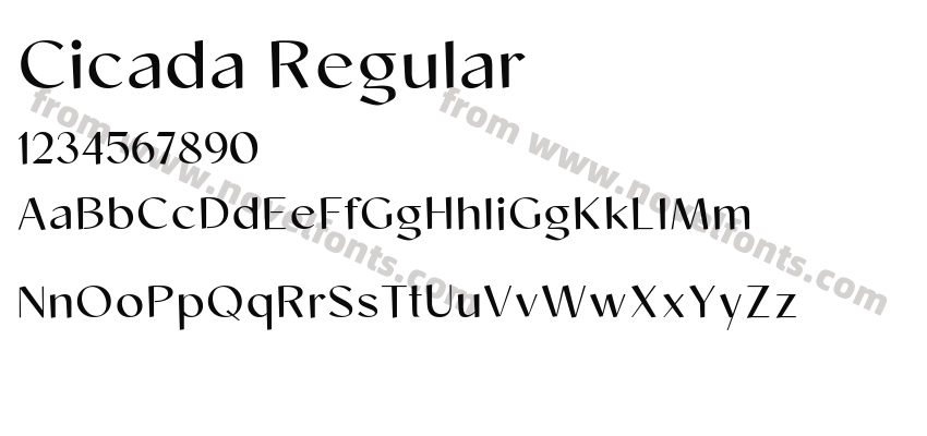 Cicada RegularPreview