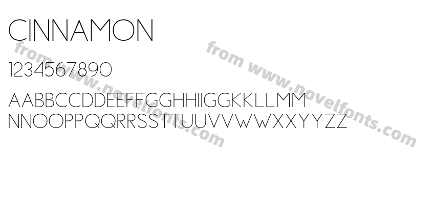 CinnamonPreview