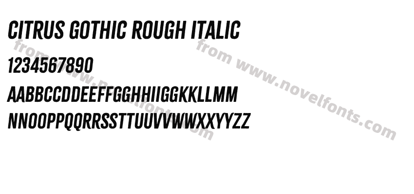 Citrus Gothic Rough ItalicPreview