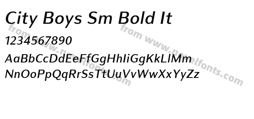 City Boys Sm Bold ItPreview