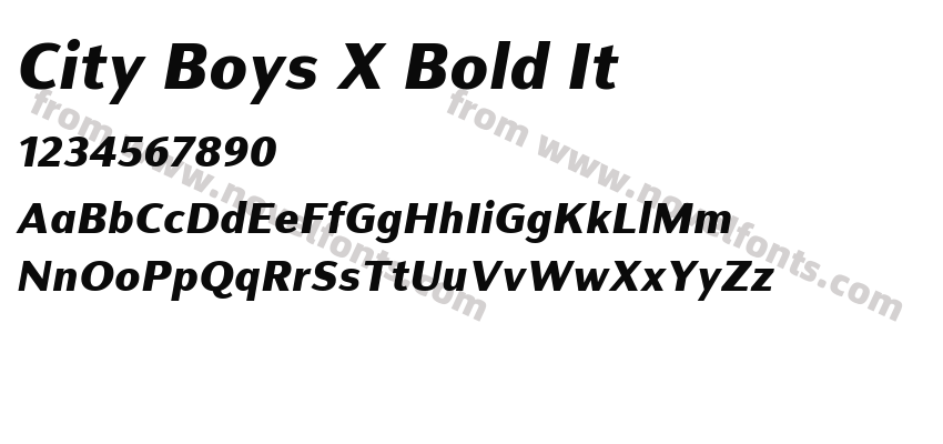 City Boys X Bold ItPreview