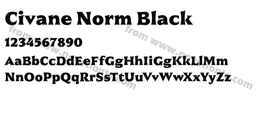 Civane Norm BlackPreview