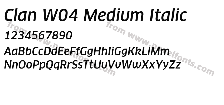 Clan W04 Medium ItalicPreview