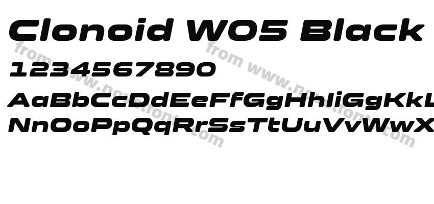 Clonoid W05 Black ItalicPreview